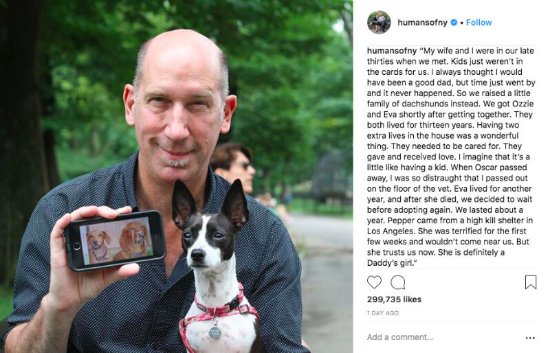 instagram engagement humans of new york post